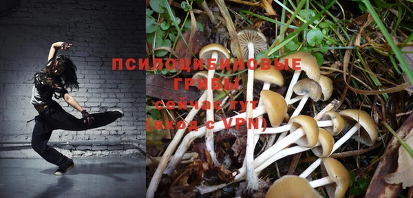 первитин Алексин