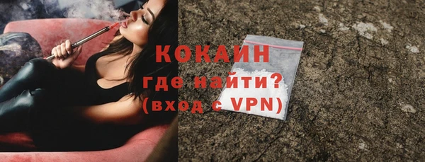 индика Абинск