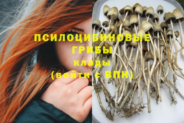 спиды Абаза