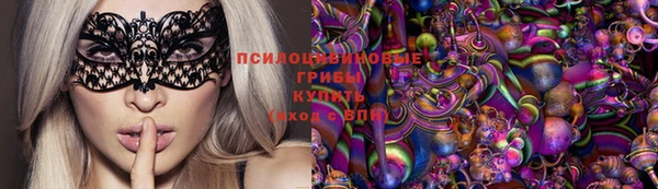 индика Абинск