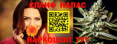 мдпв Обь