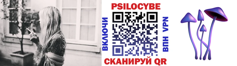 Псилоцибиновые грибы Psilocybine cubensis  Сертолово 