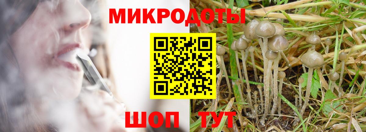 Сертолово  Псилоцибиновые грибы GOLDEN TEACHER  Вход с VPN 